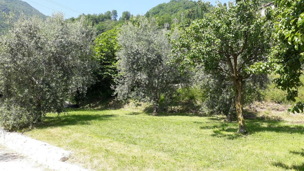 Villa Casa Gina Garden&view by Gardadomusmea Tremosine Exterior foto